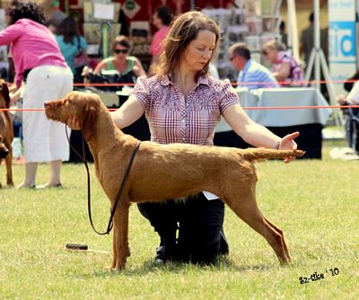 Saffy BOB In The Ring 2010